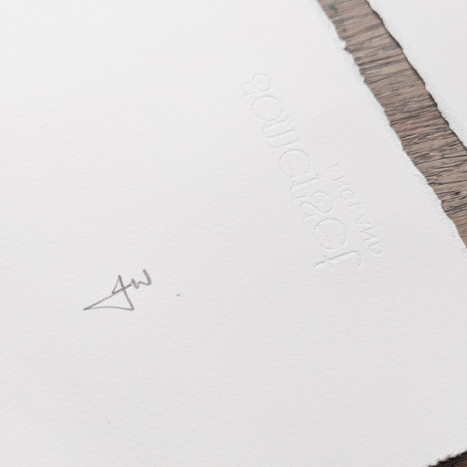 THE BIRD HEADED MOTHER AND DIVINE CHILD | Original goddess linocut print image 3