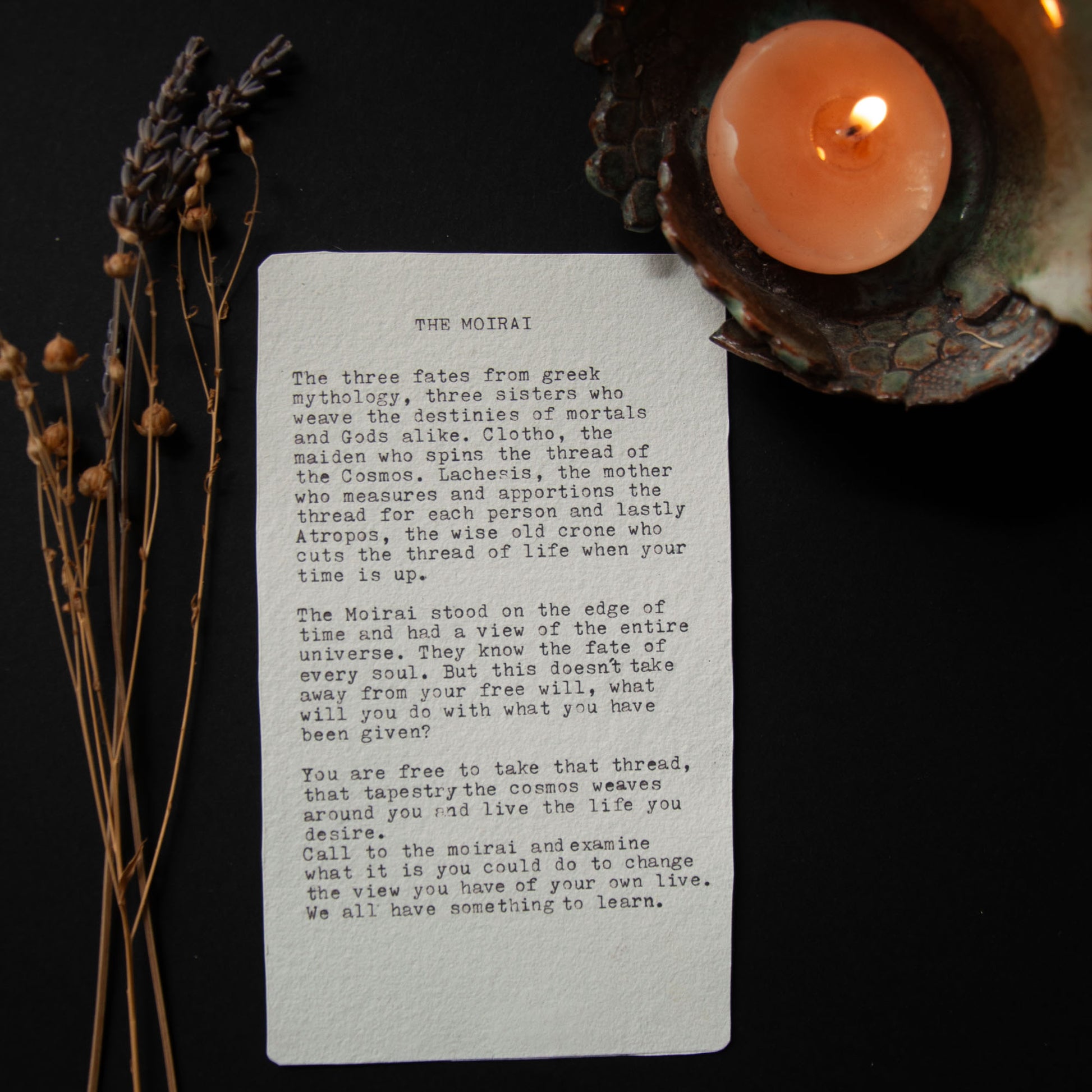 Text on a piece of paper with dried plants and a candle in the background