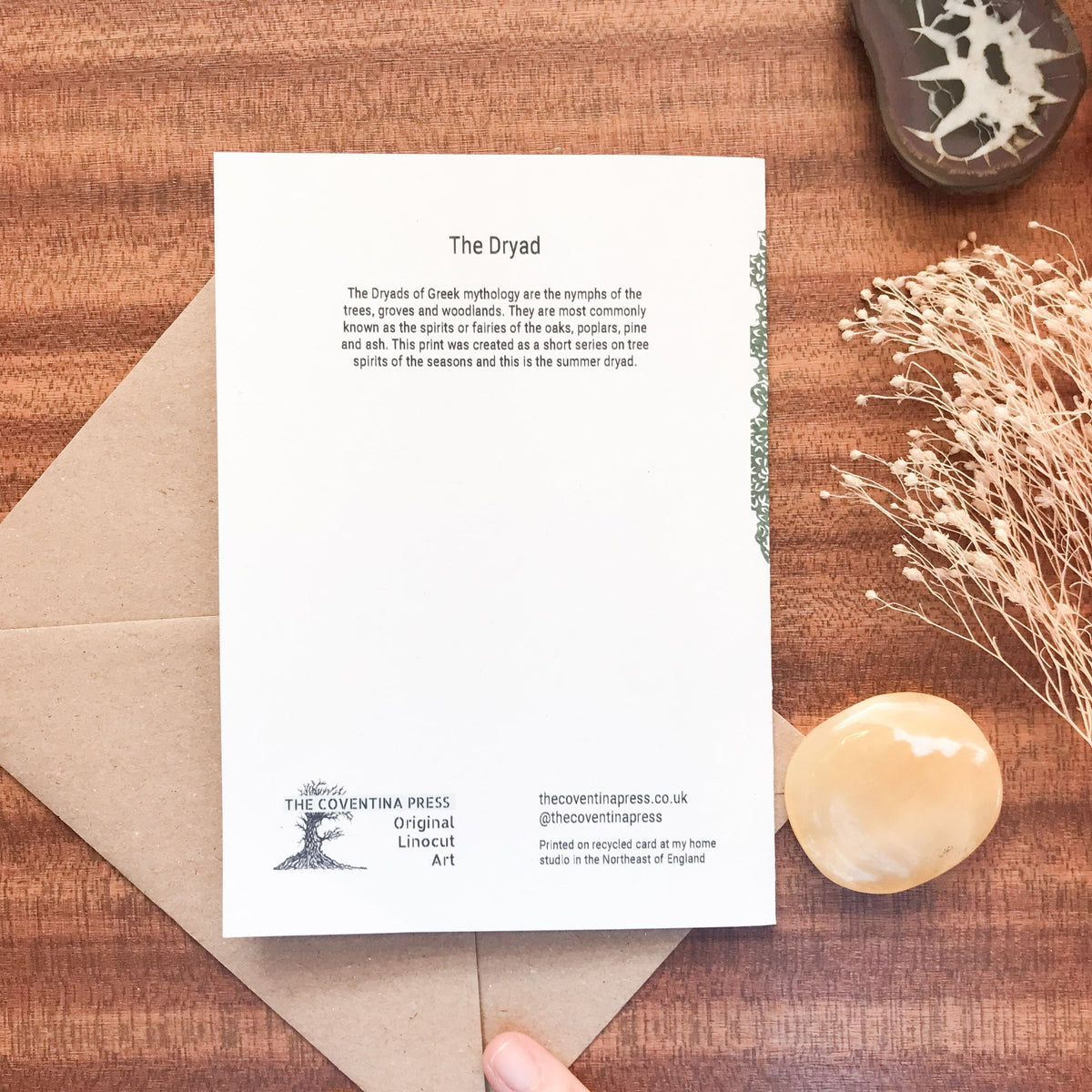 THE DRYAD greeting card in natural white cardstock, with small black text and a delicate green botanical border