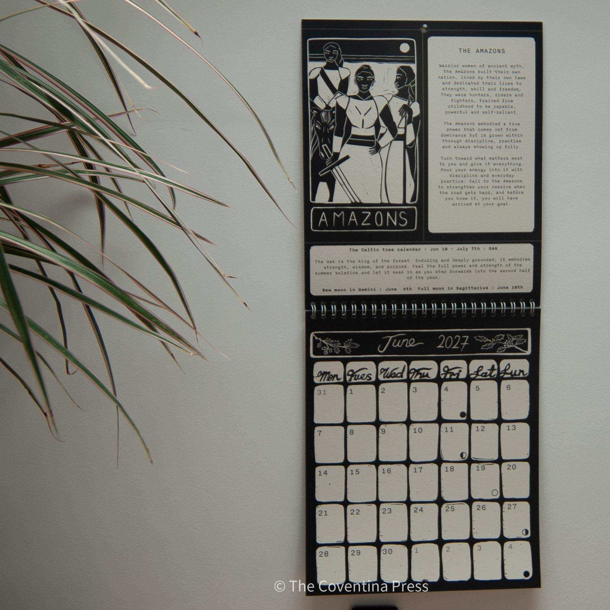 WILD WOMEN CALENDAR wall calendar in black and cream, with spiral binding, linocut Amazons artwork and June 2027 dates